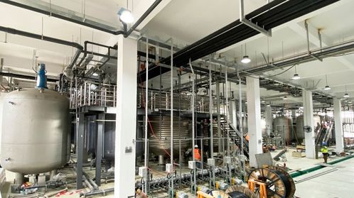 耗資20億的哈佛“長(zhǎng)生不老藥”NMN工廠落戶寧波余姚，是科學(xué)突破還是網(wǎng)絡(luò)工程？